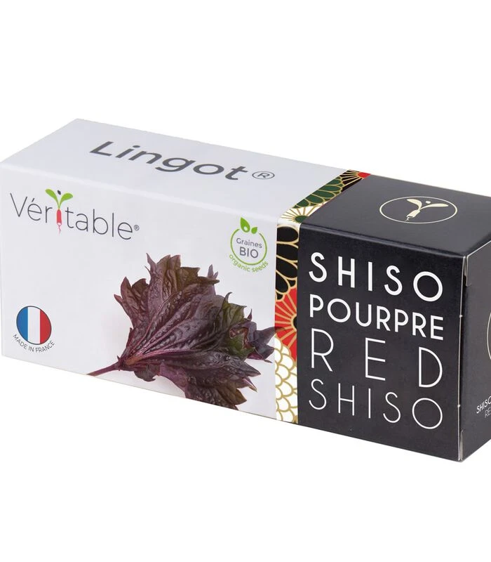 Lingot® Shiso Paars BIO - Voor Véritable® Moestuinen 1 Lingot® Shiso Paars BIO - Voor Véritable® Moestuinen