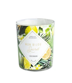 Geurkaars Citrus Met Zilveren Oorbellen -Dagelijkse Boodschappen Winkel 10fd85bb2bea41a7b33ca7d9022ae6d8