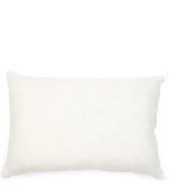 Binnenkussen 64x45, Kussenvulling Met Donsveren - RM Recycle - Wit -