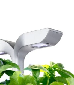 Indoor Moestuin Exky® SMART Soft Black -Dagelijkse Boodschappen Winkel 1a3d54a5176a4f0b80e2a9c8f4cec1ad 1