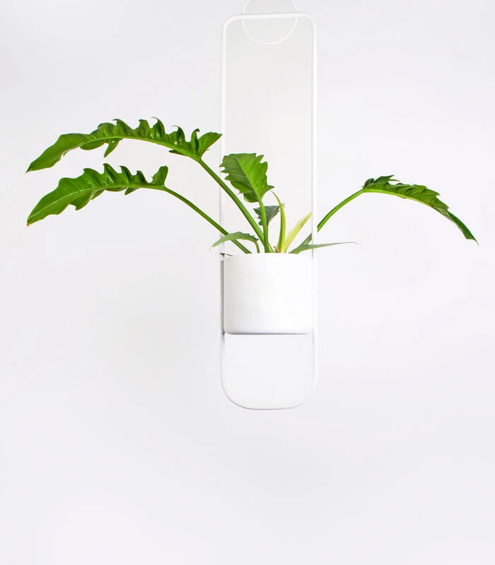 SONAR Wit 2 SONAR Wit - Afbeelding 2