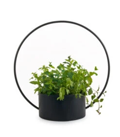 O-COLLECTION Groot Zwart