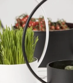 O-COLLECTION Groot Zwart -Dagelijkse Boodschappen Winkel 28b48db2e94a4267b266f77c0bf1a005 1