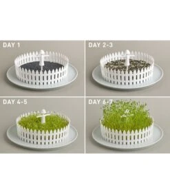 Seed Field -Dagelijkse Boodschappen Winkel 29ac6cfba56a40dfb800f4ac1327287b