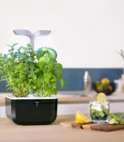 Indoor Moestuin Exky® SMART Soft Black -Dagelijkse Boodschappen Winkel 2adc2da62a2a48e6936040e43fffda28