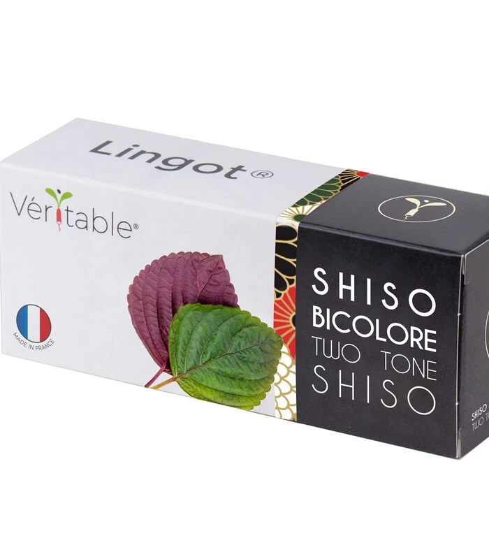 Lingot® Shiso Bicolor - Voor Véritable® Moestuinen 1 Lingot® Shiso Bicolor - Voor Véritable® Moestuinen