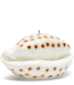 Kaars Schelp Wit