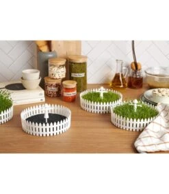 Seed Field -Dagelijkse Boodschappen Winkel 587d9e5c1d52458a90bb3303fb3091e6