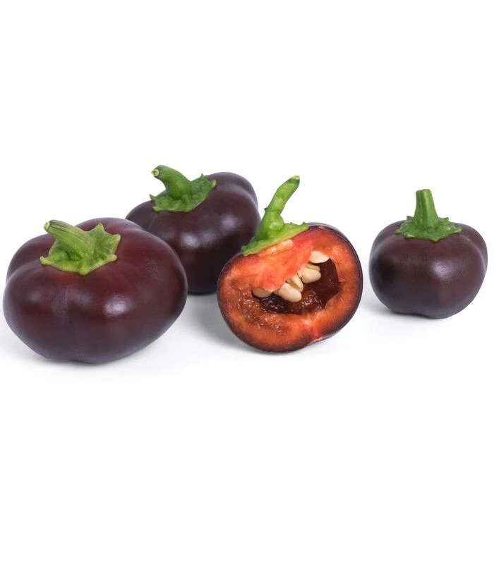 Lingot® Mini Chocolade Pepers BIO - Indoor Moestuine 2 Lingot® Mini Chocolade Pepers BIO - Indoor Moestuine - Afbeelding 2