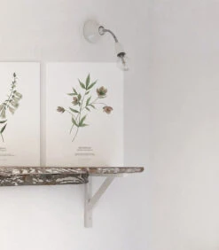 WELLINGTON Set Van 2 Kinderposters - Bloemen Botanicals -Dagelijkse Boodschappen Winkel 5b4d9fcdca0344ceaf957482dd72965e