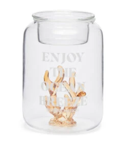 Waxinelichthouder Glas, Theelichthouder Met Koraal - Coral - Beige