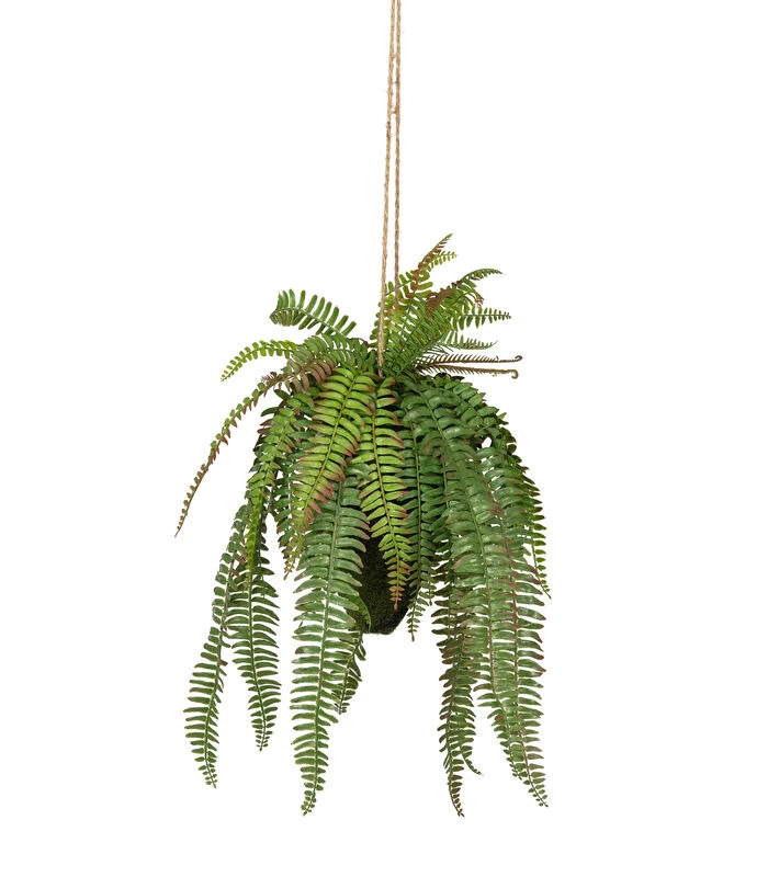 WOOOD Varen Hangende Kunstplant - Groen - 30x58x30 1 WOOOD Varen Hangende Kunstplant - Groen - 30x58x30
