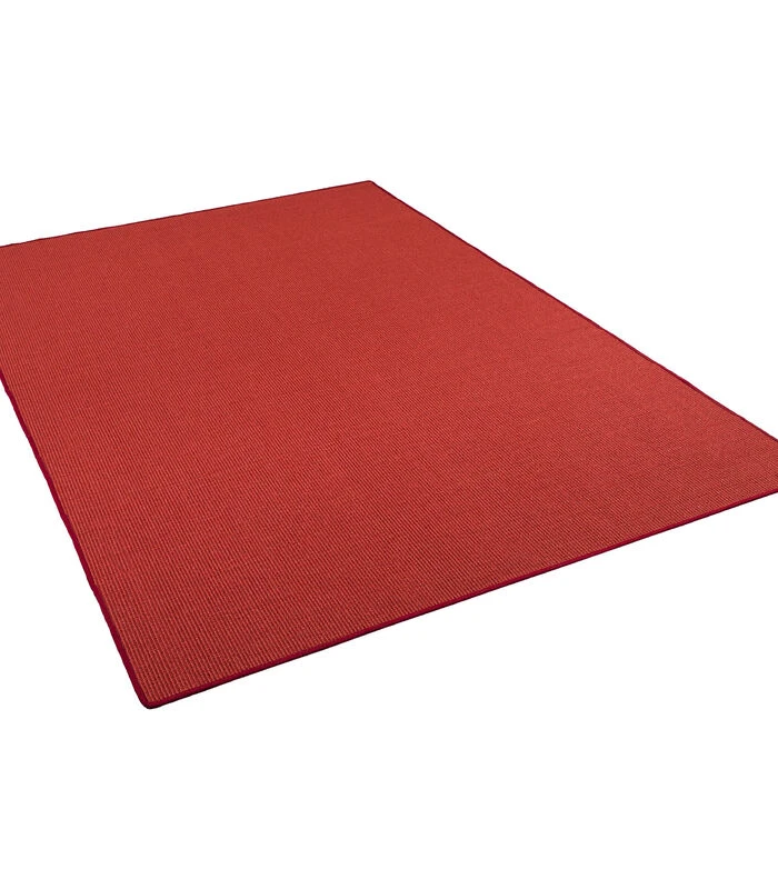 Vloerkleed Sisal Natuurtapijt Klassiek 5 Vloerkleed Sisal Natuurtapijt Klassiek - Afbeelding 5