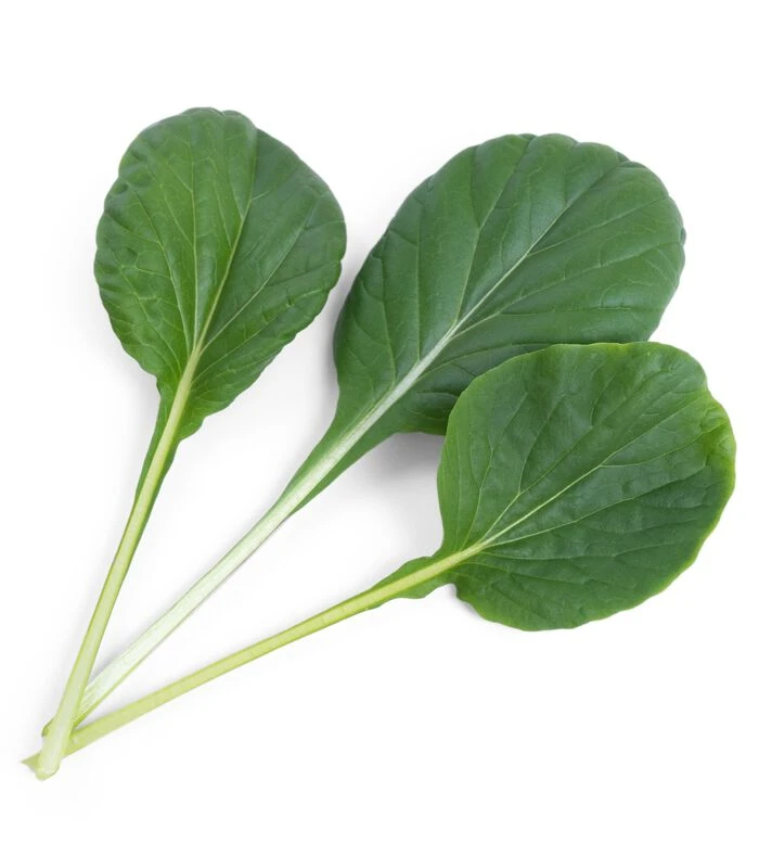 Lingot® Tatsoi BIO - Voor Véritable® Indoor Moestuinen 2 Lingot® Tatsoi BIO - Voor Véritable® Indoor Moestuinen - Afbeelding 2