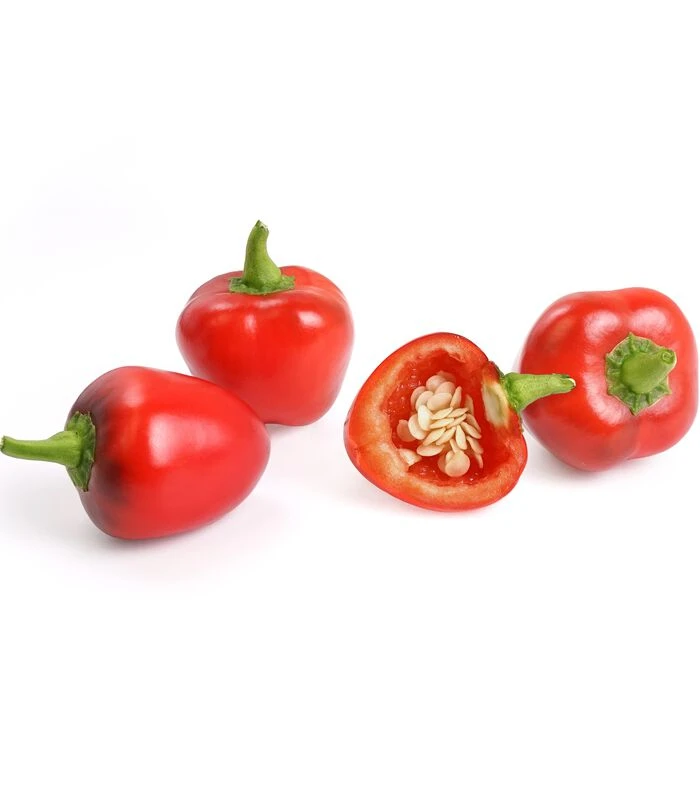 Lingot® Mini Rode Peper BIO - Voor Véritable® Moestuinen 2 Lingot® Mini Rode Peper BIO - Voor Véritable® Moestuinen - Afbeelding 2