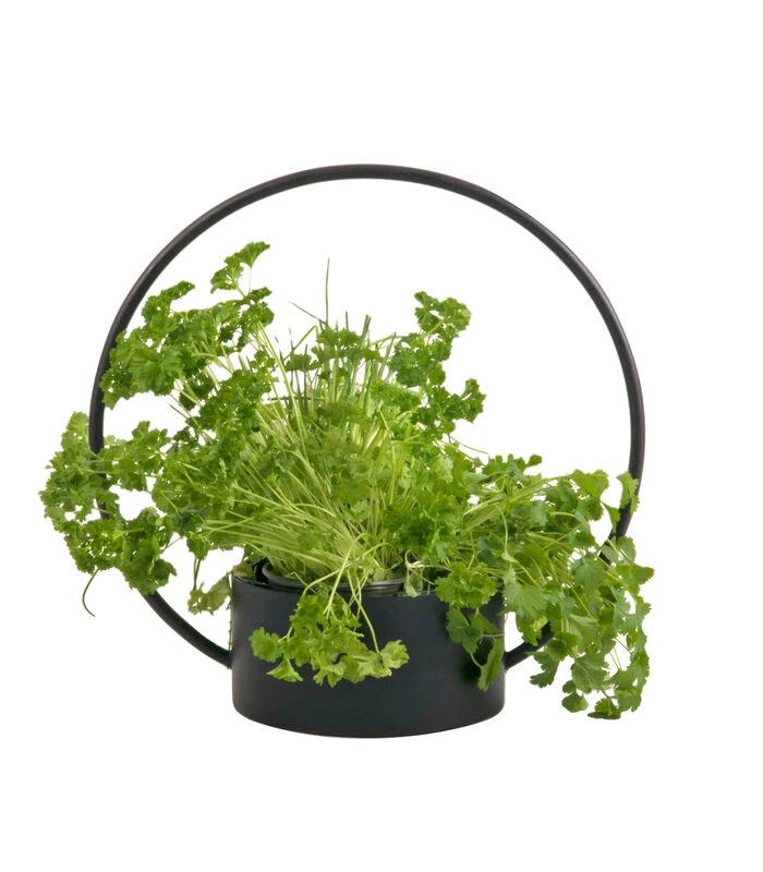 O-COLLECTION Medium Zwart 1 O-COLLECTION Medium Zwart