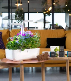 Indoor Moestuin Véritable® SMART Arctic White -Dagelijkse Boodschappen Winkel 8869fdf128134adb9f129dd539b7bd17