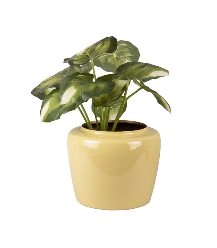 PRESENT TIME Bloempot Grand - Groen - Ø25x20 Cm 2 PRESENT TIME Bloempot Grand - Groen - Ø25x20 Cm - Afbeelding 2