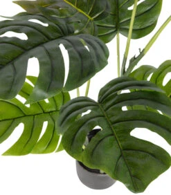 WOOOD Monstera Kunstplant - Plastic - Groen - 76x66x57 -Dagelijkse Boodschappen Winkel 8dfb8a91384f42cabd76d33b6cb94887