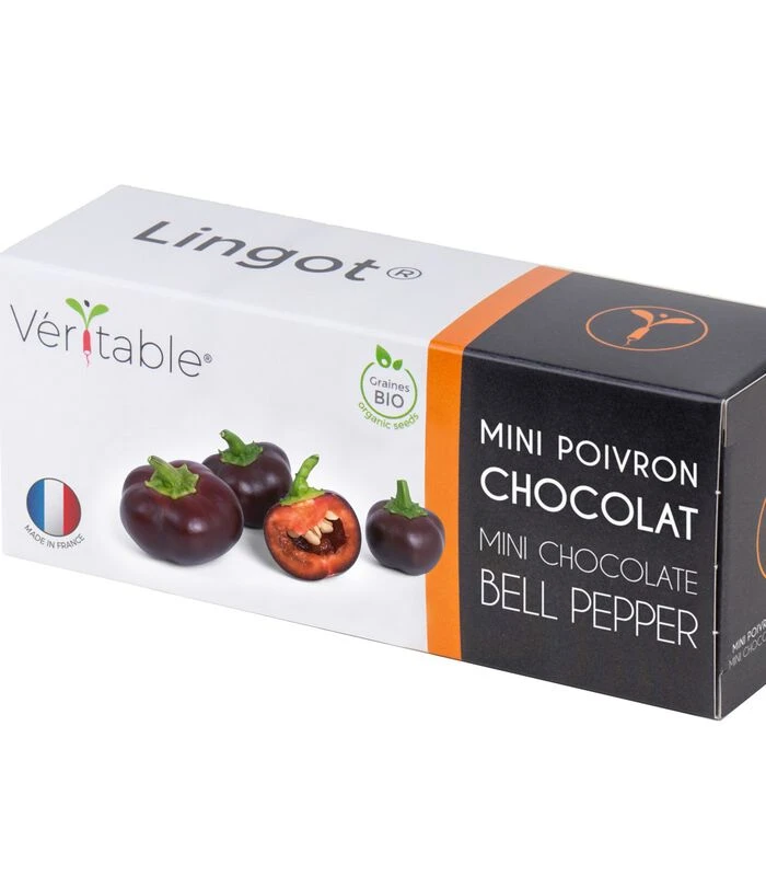 Lingot® Mini Chocolade Pepers BIO - Indoor Moestuine 1 Lingot® Mini Chocolade Pepers BIO - Indoor Moestuine