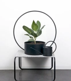 O-COLLECTION Groot Wit -Dagelijkse Boodschappen Winkel 975d60d938de4e4d926ed173217d8bfa 2