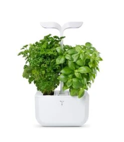 Indoor Moestuin Exky® CLASSIC
