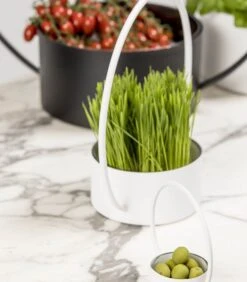 O-COLLECTION Groot Wit -Dagelijkse Boodschappen Winkel 9f8faa38d15d435cb80a7c7aba4f4ae4 2