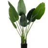 WOOOD Strelitzia Kunstplant - Groen - 61x108x50