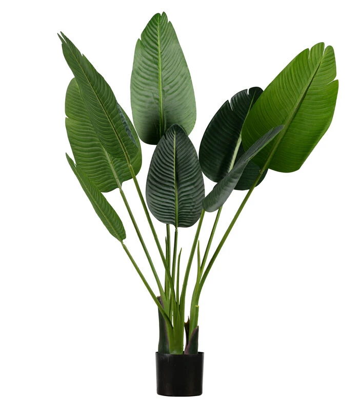 WOOOD Strelitzia Kunstplant - Groen - 61x108x50 1 WOOOD Strelitzia Kunstplant - Groen - 61x108x50
