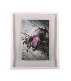 WINDOW Fotokader 50x60