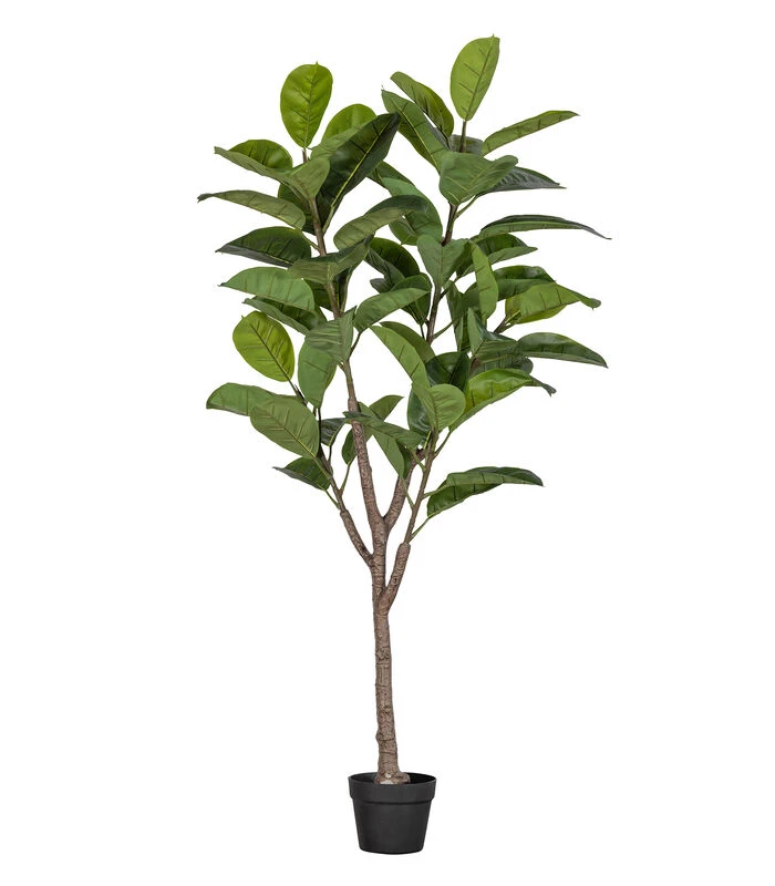 WOOOD Rubberboom Kunstplant 135 Cm - Plastic - Groen - 135x74x55 1 WOOOD Rubberboom Kunstplant 135 Cm - Plastic - Groen - 135x74x55