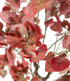 WOOOD Appel Kunstboom 170 Cm - Plastic - Roze - 170x77x72 -Dagelijkse Boodschappen Winkel b3e0ee3adf144709a11480ed6f5cde8e