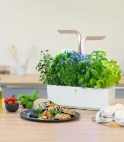 Indoor Moestuin Véritable® Connect Moonlight Gold -Dagelijkse Boodschappen Winkel b551f66b7f864bafb326d33697d573a5