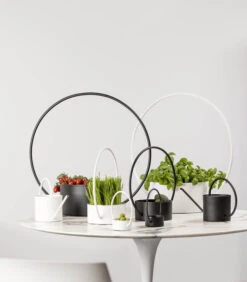 O-COLLECTION Gieter Zwart 5 O-COLLECTION Gieter Zwart -Dagelijkse Boodschappen Winkel be2ab9e6721248a1a77a79bea99c1d75