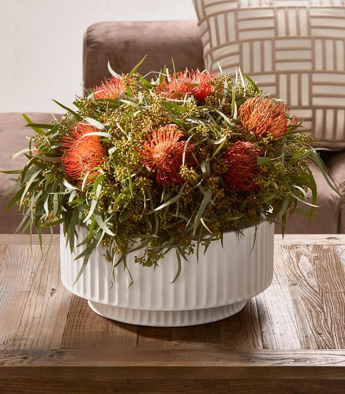 Plantenbak, Bloempot Groot En Rond - Aelous - Wit 2 Plantenbak, Bloempot Groot En Rond - Aelous - Wit - Afbeelding 2