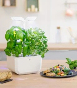 Indoor Moestuin Exky® CLASSIC -Dagelijkse Boodschappen Winkel c5616bbd587b48f7a3b098fa8b17d581