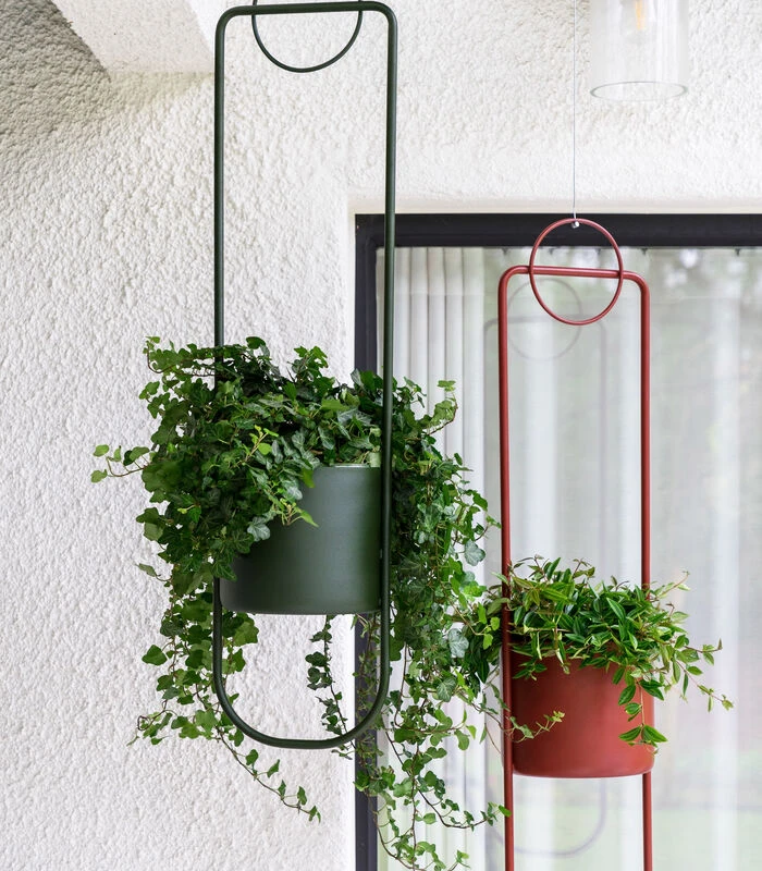 SONAR Wit 3 SONAR Wit - Afbeelding 3