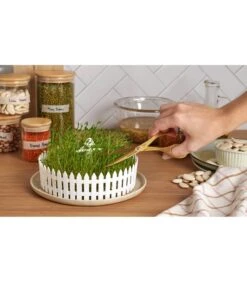 Seed Field -Dagelijkse Boodschappen Winkel c9fb8acc5e0f4a2dbb5b96a14ddb4eff