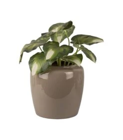 PRESENT TIME Bloempot Grand - Grijs - Ø25x23,5 Cm -Dagelijkse Boodschappen Winkel cca728923ab04102924eeb4f498bb7a7