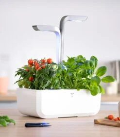 Indoor Moestuin Véritable® SMART Arctic White -Dagelijkse Boodschappen Winkel d1748cad36a94ab497eed9e8eae839ea
