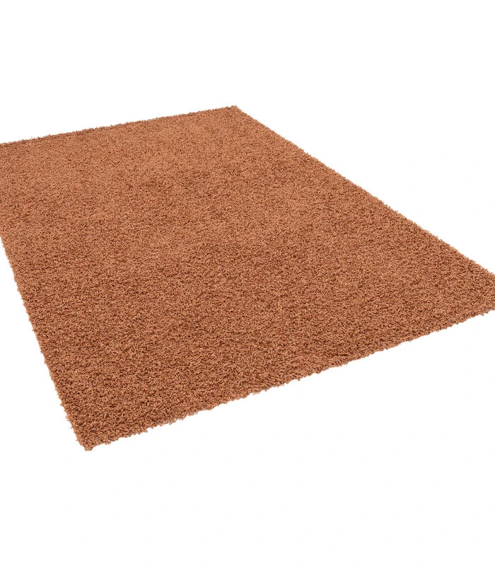 Hoogpolig Langpolig Shaggy Vloeerkleed Tapijt Fluffy 5 Hoogpolig Langpolig Shaggy Vloeerkleed Tapijt Fluffy - Afbeelding 5