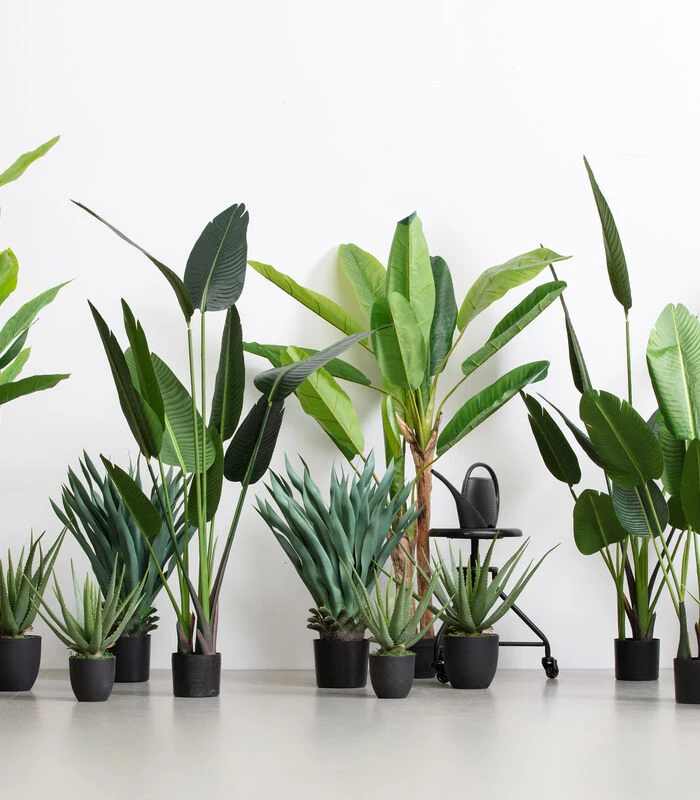 WOOOD Strelitzia Kunstplant - Groen - 61x108x50 2 WOOOD Strelitzia Kunstplant - Groen - 61x108x50 - Afbeelding 2