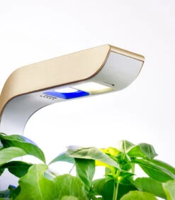 Indoor Moestuin Véritable® Connect Moonlight Gold -Dagelijkse Boodschappen Winkel dd533279d4734cddabec132766bec169