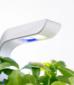 Indoor Moestuin Véritable® SMART Arctic White -Dagelijkse Boodschappen Winkel e1239318136446a08d63a8bc5dc25196