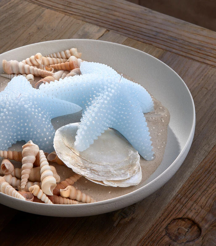 Kaars, Decoratieve Stompkaars Zeester - Starfish - Lichtblauw 2 Kaars, Decoratieve Stompkaars Zeester - Starfish - Lichtblauw - Afbeelding 2