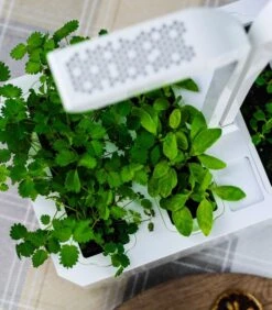 Indoor Moestuin Véritable® CLASSIC -Dagelijkse Boodschappen Winkel e6b412e7d68f440880c815cfebba0ed9