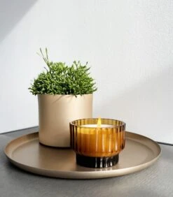 VOLTA Medium Geurkaars - FOREST MIST -Dagelijkse Boodschappen Winkel eb60920ab3a2442e94b86f67b9e9cd50 2