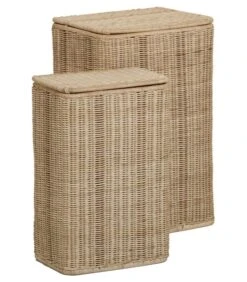 Set Van Twee Rechthoekige Rotan Wasmanden