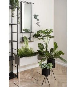 PRESENT TIME Plantenpot Set Essence - IJzer Warm Grijs - Recht - 51x24x65cm & 43x19,5x55cm -Dagelijkse Boodschappen Winkel f0337a787b744549b7a925306c202dc9