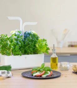 Indoor Moestuin Véritable® CLASSIC -Dagelijkse Boodschappen Winkel f05c290ce3da47ed8d1096bf65e86a97